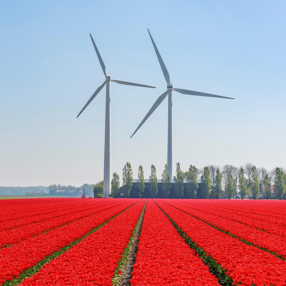 Best Gulf Renewables Solutions GCC Electrical Testing Laboratory